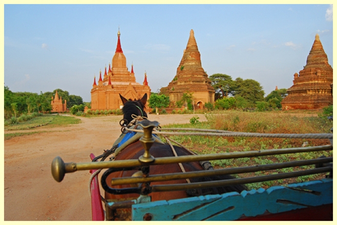 Horse Cart in Bagan