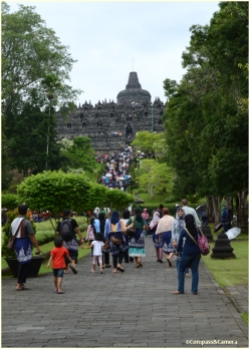 Stairs to Borobudur