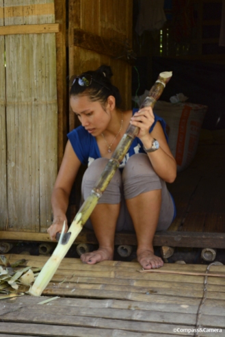 Cutting sugarcane