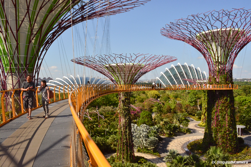 Supertrees and Skyway at Gardens by the Bay, Singapore