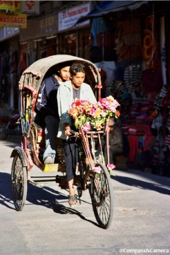Blooming rickshaw