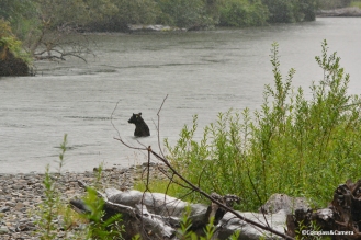 Atnarko River :: Tweedsmuir Provincial Park, British Columbia